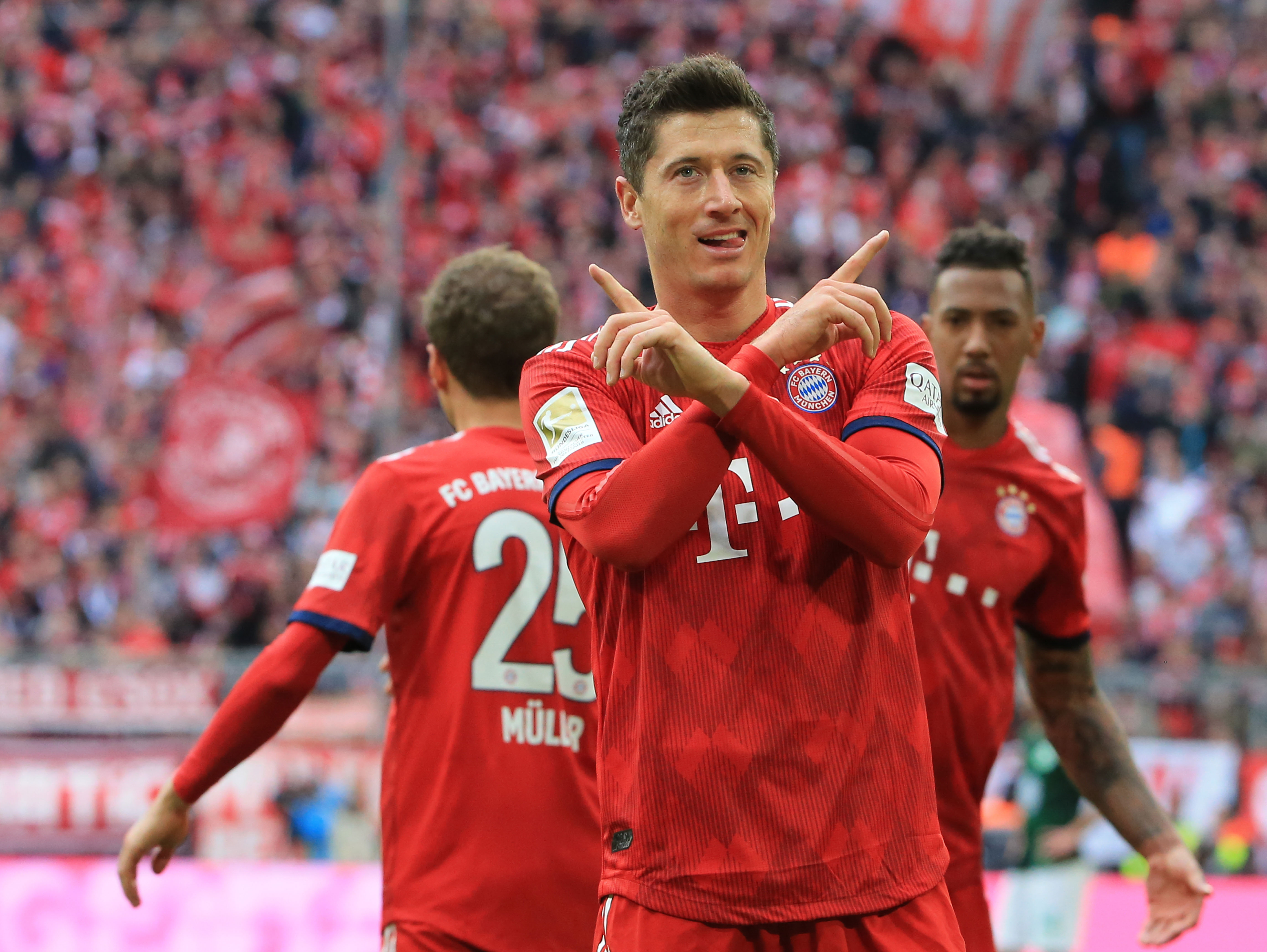 IBF重磅通知：闪电桑切斯与小托雷斯将争夺世界拳王强制挑战权